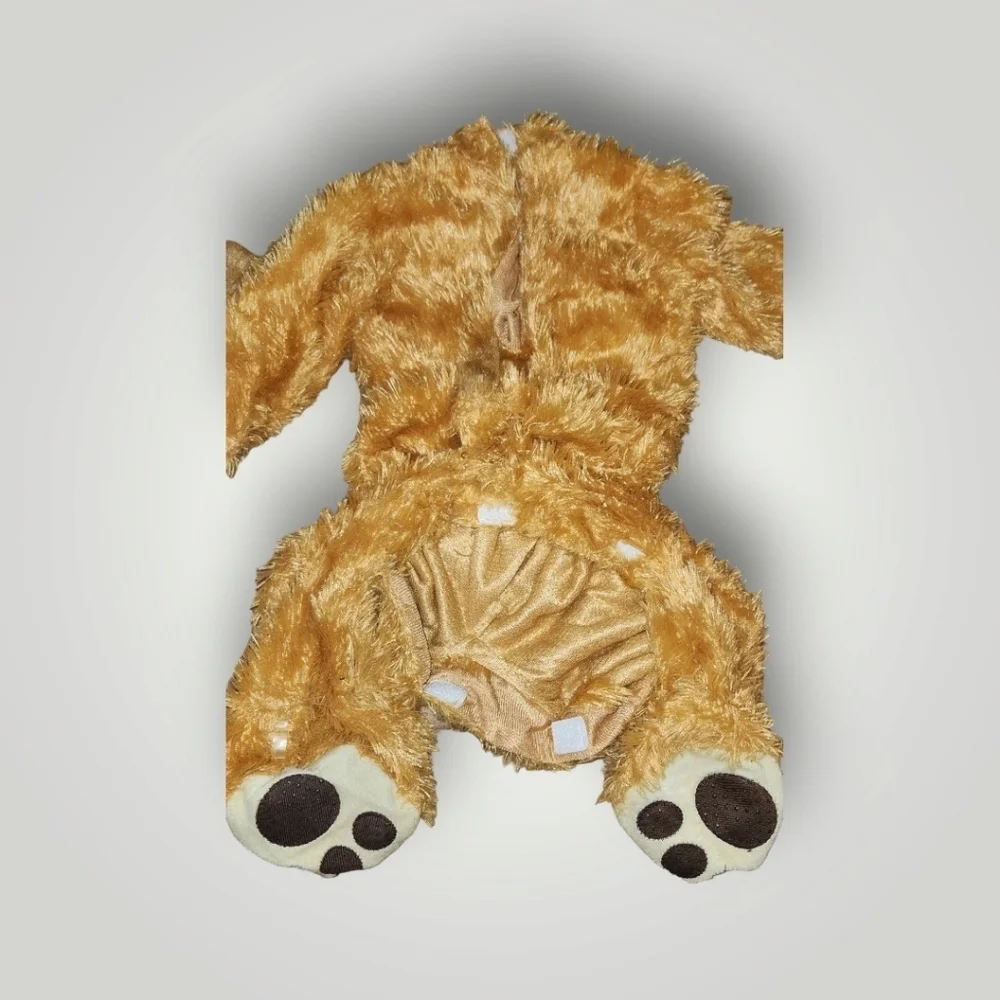 No brand baby lion